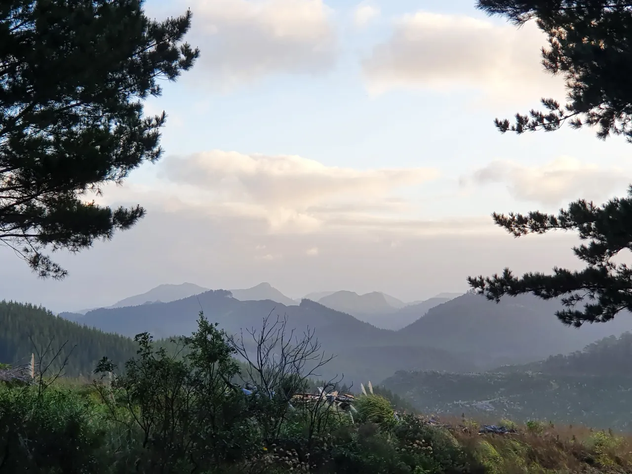 Change To How Rates Will Be Set For Thames Coromandel photo