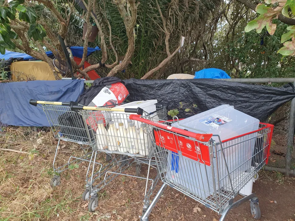 Living Rough in Thames Mangroves photo