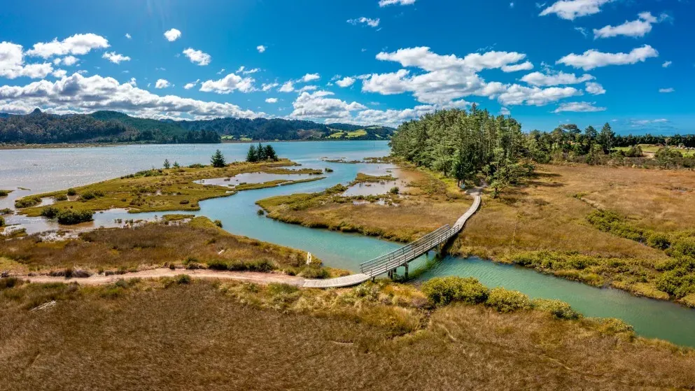 Support for Tairua River Trail Targeted photo