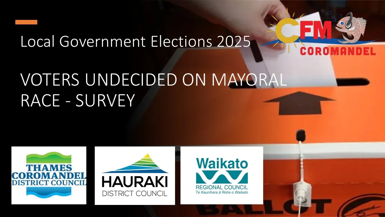 Mayoral Race photo
