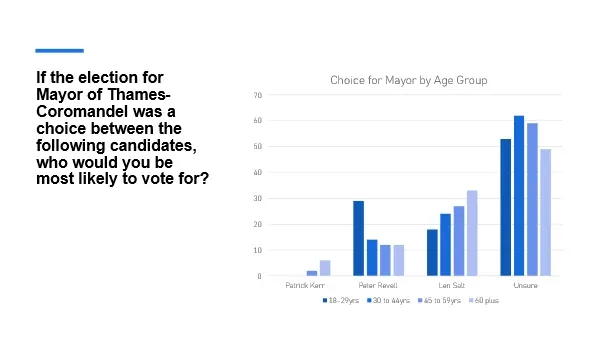 Mayoral Race photo