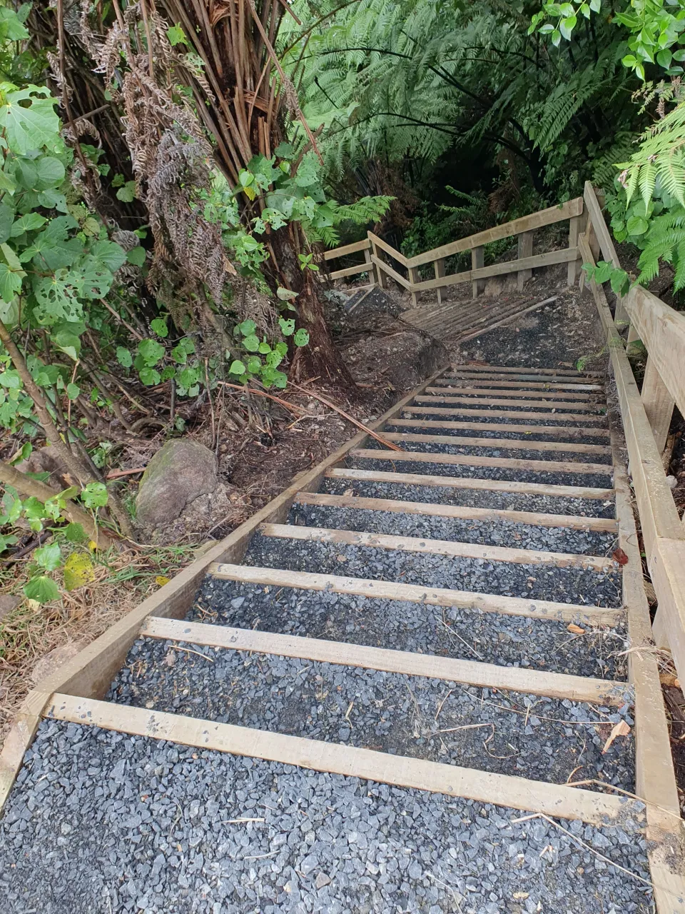 Cathedral Cove Track Is Again Open photo