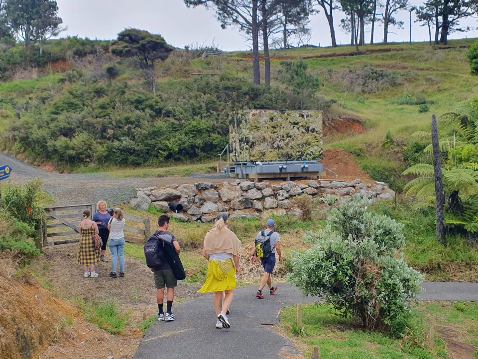 Cathedral Cove Track Is Again Open photo