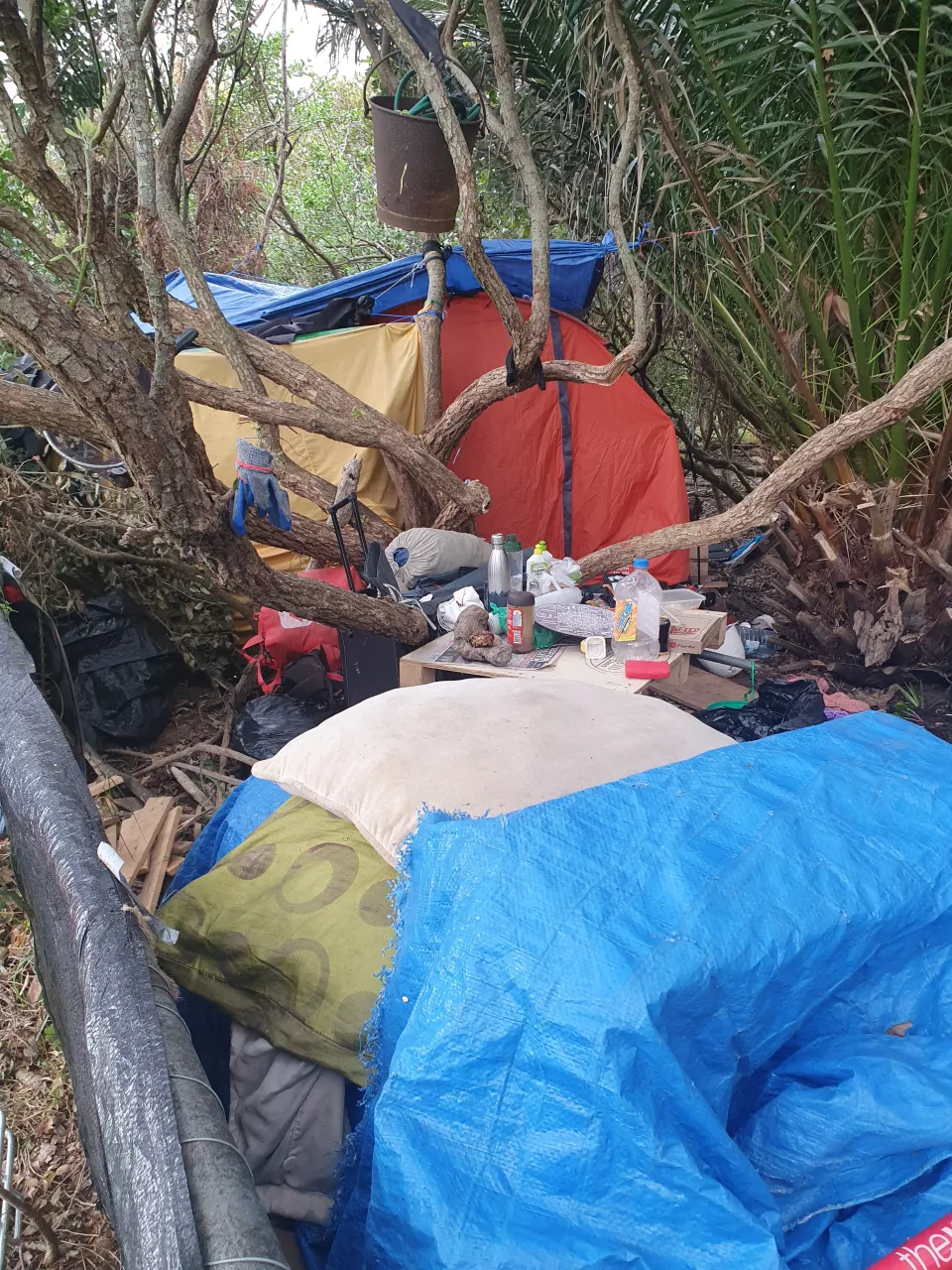 Living Rough in Thames Mangroves photo