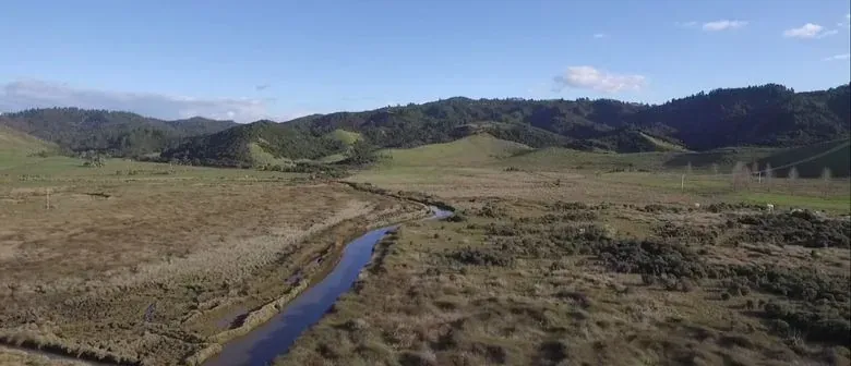 Tracking lost people in the Coromandel photo