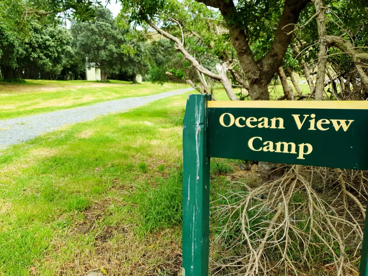 Campgrounds Back To Full Capacity for Summer Peak photo
