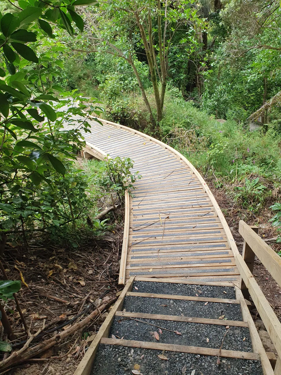 Cathedral Cove Track Is Again Open photo