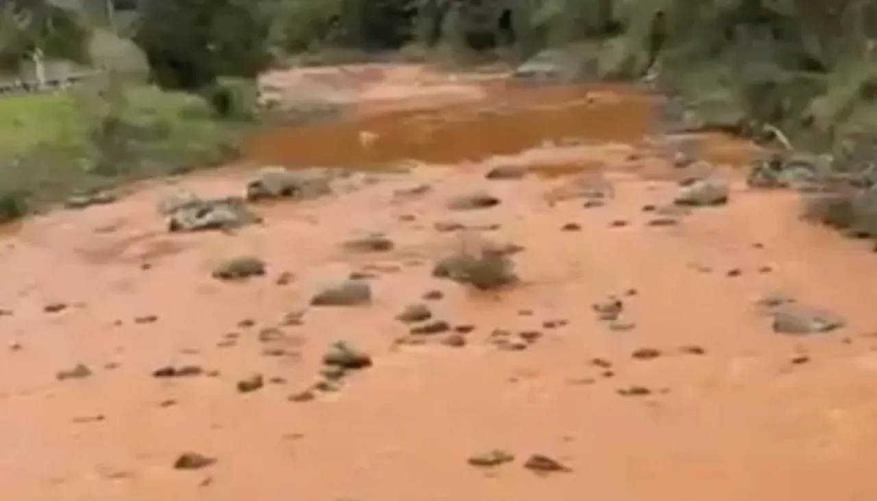 Early Results Expected on River Testing photo